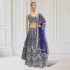 Lehenga + Choli + scarf